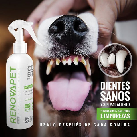 Image of RENOVAPET - ¡Dile adiós al sarro!